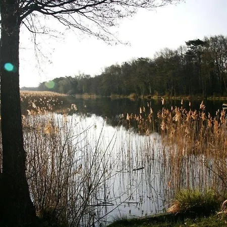 Bernsteinblick *